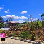 Sunny Hills Subdivision Talamban Cebu City