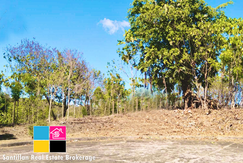 Residential Lot for Sale at The Heritage Subdivision Mandaue City Cebu 1