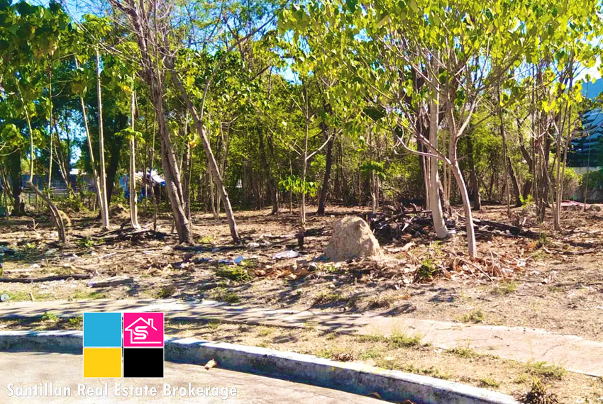 Residential Lot for Sale at The Heritage Subdivision Mandaue City Cebu 3