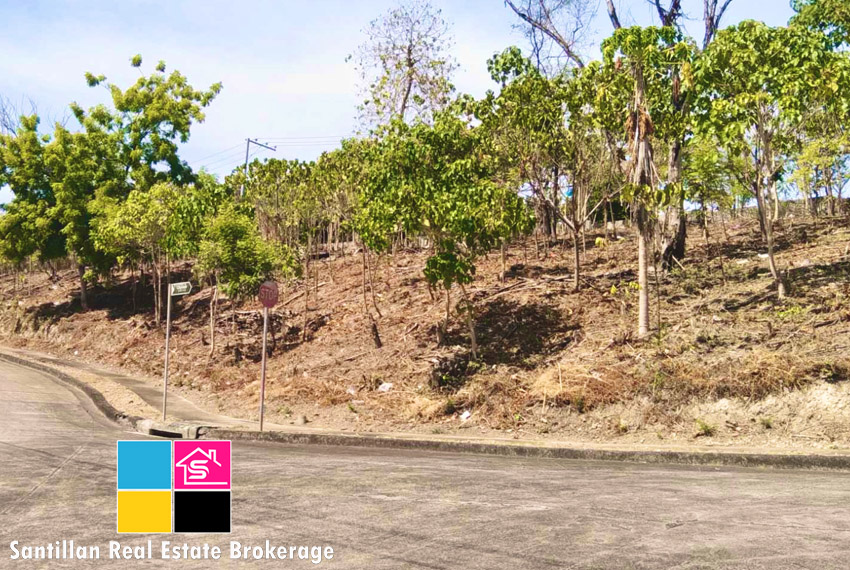 Residential Lot for Sale at The Heritage Subdivision Mandaue City Cebu 4