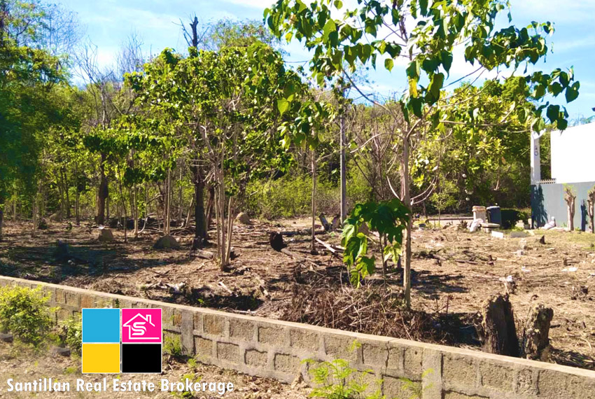 Residential Lot for Sale at The Heritage Subdivision Mandaue City Cebu 5