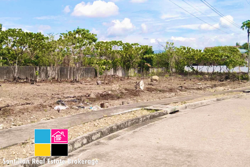 Residential Lot for Sale at The Heritage Subdivision Mandaue City Cebu 6
