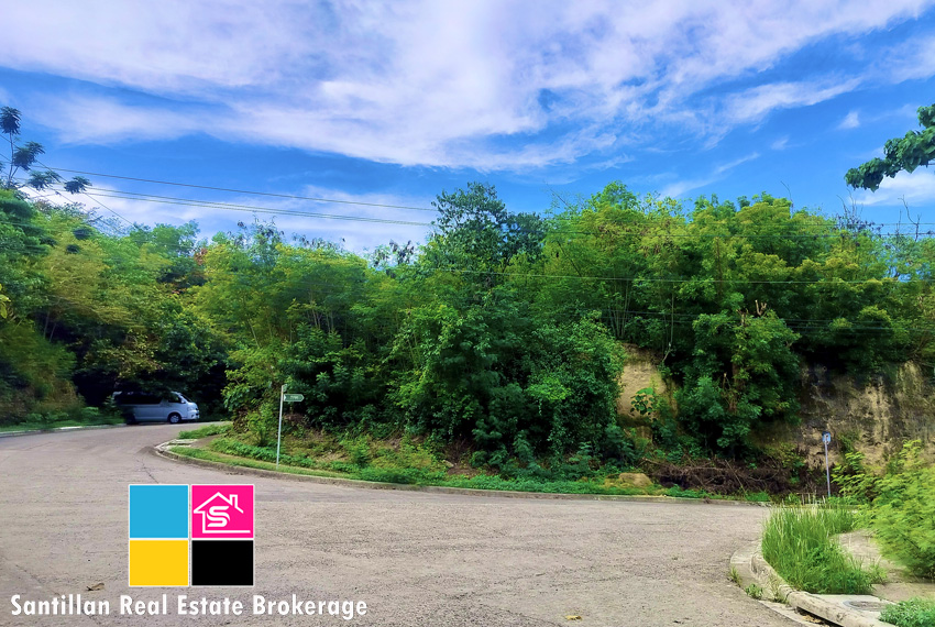 RUSH SALE RESIDENTIAL LOT IN HERITAGE SUBDIVISION JAGOBIAO MANDAUE CITY CEBU 5